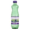 RQ Emotion Brombeere/Limette 12×0,5L